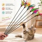 Pet Toys - Image 4